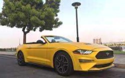 For Rent 2015 Ford Mustang